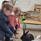 2kc - Kinderboerderij 'De Campagne'