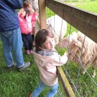 2kc - Kinderboerderij 'De Campagne'