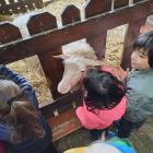 2kc - Kinderboerderij 'De Campagne'