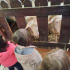 2kc - Kinderboerderij 'De Campagne'