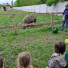 2kc - Kinderboerderij 'De Campagne'