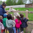 2kc - Kinderboerderij 'De Campagne'