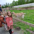 2kc - Kinderboerderij 'De Campagne'