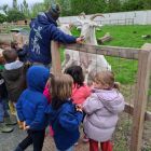 2kc - Kinderboerderij 'De Campagne'