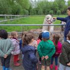 2kc - Kinderboerderij 'De Campagne'