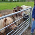 2kc - Kinderboerderij 'De Campagne'