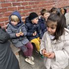 De bijendans in 3ka
