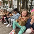 De bijendans in 3ka