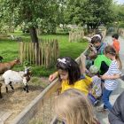 De boerderij 3C