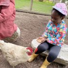 2ka - Kinderboerderij 'De Campagne'