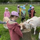 2ka - Kinderboerderij 'De Campagne'