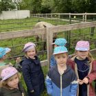 2ka - Kinderboerderij 'De Campagne'