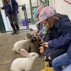 2ka - Kinderboerderij 'De Campagne'