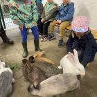 2ka - Kinderboerderij 'De Campagne'