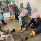 2ka - Kinderboerderij 'De Campagne'