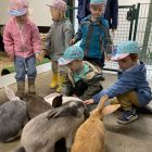 2ka - Kinderboerderij 'De Campagne'