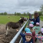 2ka - Kinderboerderij 'De Campagne'