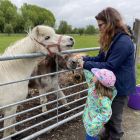 2ka - Kinderboerderij 'De Campagne'