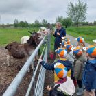 2kb - Uitstap naar de kinderboerderij 'De Campagne'