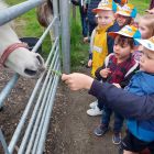 2kb - Uitstap naar de kinderboerderij 'De Campagne'