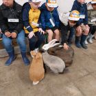 2kb - Uitstap naar de kinderboerderij 'De Campagne'