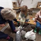 2kb - Uitstap naar de kinderboerderij 'De Campagne'