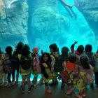 Op schoolreis naar de zoo van Antwerpen!