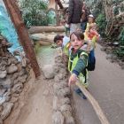 Op schoolreis naar de zoo van Antwerpen!