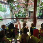 Op schoolreis naar de zoo van Antwerpen!