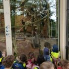 Op schoolreis naar de zoo van Antwerpen!