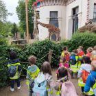 Op schoolreis naar de zoo van Antwerpen!