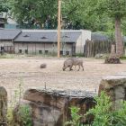 Op schoolreis naar de zoo van Antwerpen!