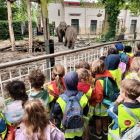 Op schoolreis naar de zoo van Antwerpen!