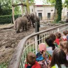 Op schoolreis naar de zoo van Antwerpen!