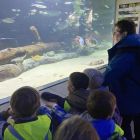 Op schoolreis naar de zoo van Antwerpen!