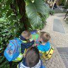 Op schoolreis naar de zoo van Antwerpen!