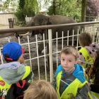 Op schoolreis naar de zoo van Antwerpen!