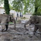 Op schoolreis naar de zoo van Antwerpen!