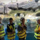 Op schoolreis naar de zoo van Antwerpen!