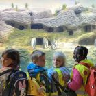 Op schoolreis naar de zoo van Antwerpen!