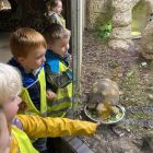Op schoolreis naar de zoo van Antwerpen!