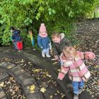 Herfst in het kabouterbos