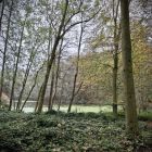 Uitstap naar het parkbos