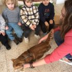 Anna wil een huisdier