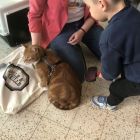 Anna wil een huisdier