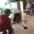 Anna wil een huisdier