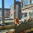 Van kop tot teen gezond - stage juf Heleen