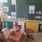 Van kop tot teen gezond - stage juf Heleen