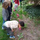In de tuin - bloemen voor mama