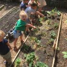In de tuin - bloemen voor mama